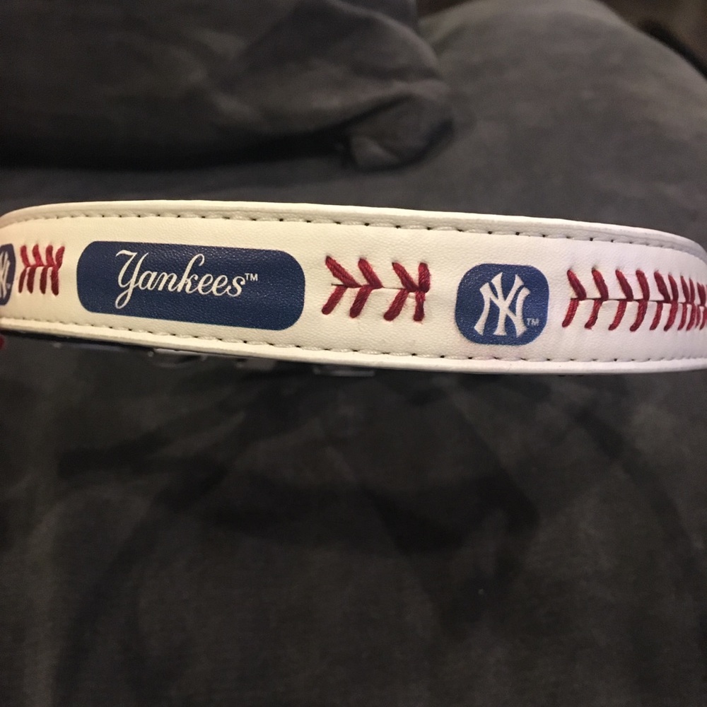 New York Yankees dog collar
